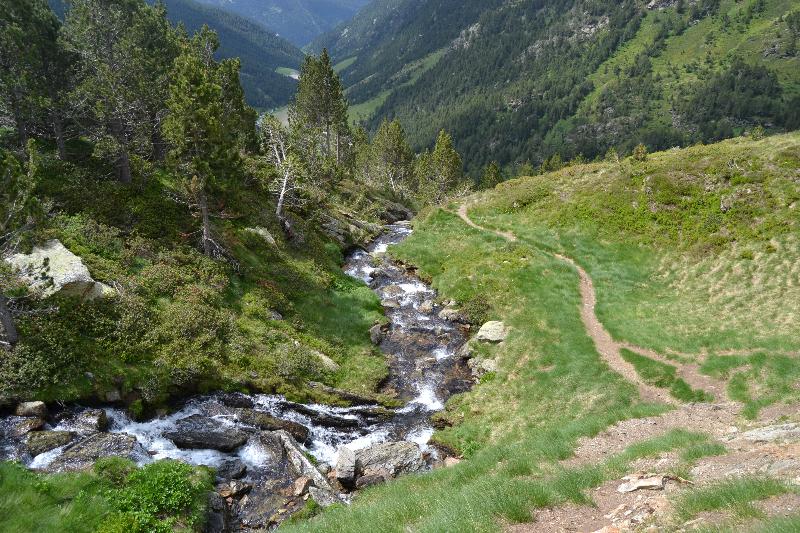 Wuau! Hotel Segle Xx