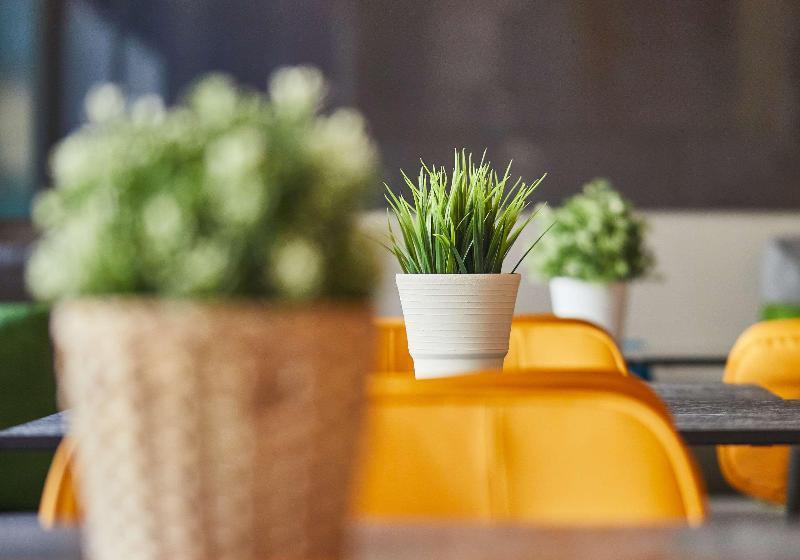 ホテル Silken Luis De Leon