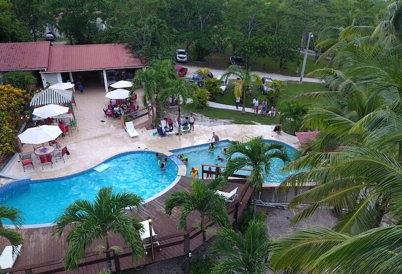 호텔 The Log Cabinn