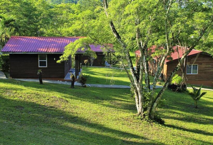 酒店 The Log Cabinn