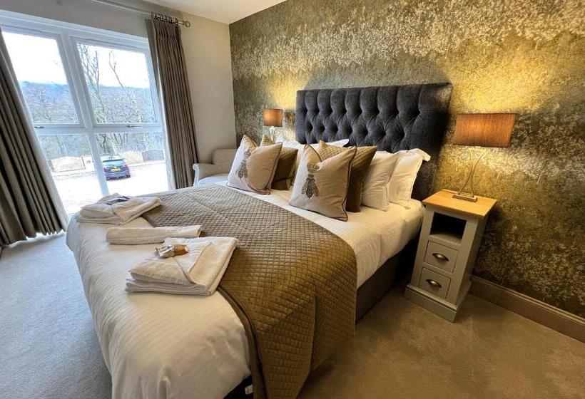 Отель The Mary Mount