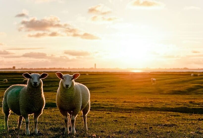 ホテル Und Spa Lundenbergsand