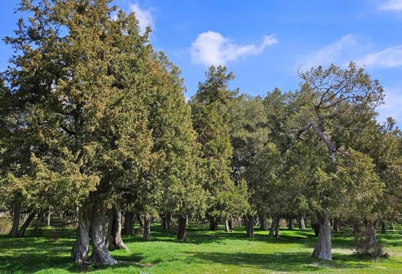 Отель Virginia R.h