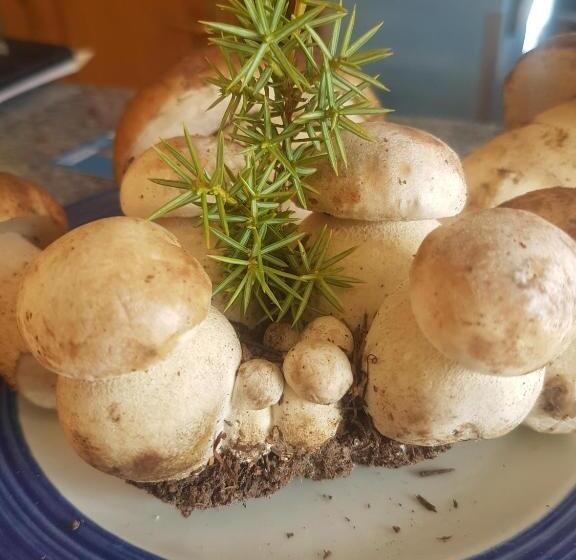 Отель Virginia R.h