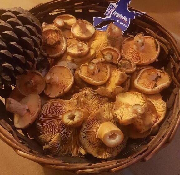 Отель Virginia R.h