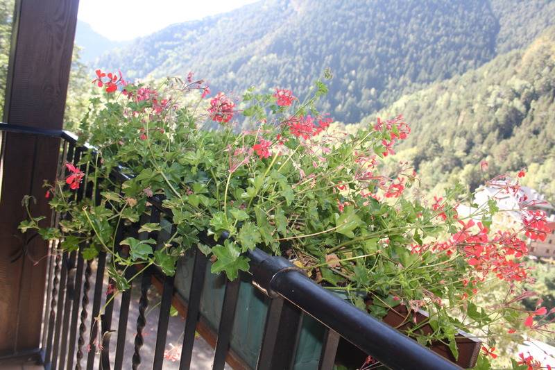 בית מלון כפרי Xalet Besoli