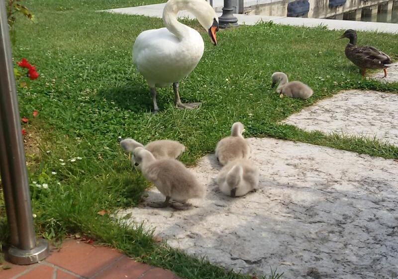 Yachting Hotel Mistral