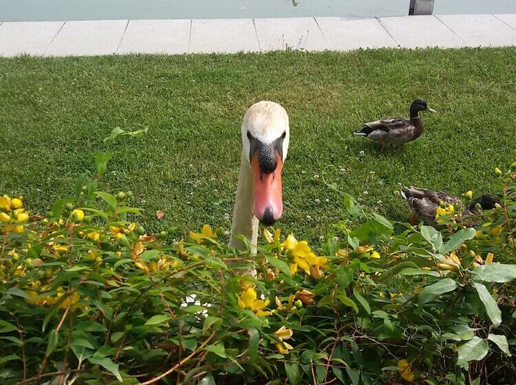 Yachting Hotel Mistral