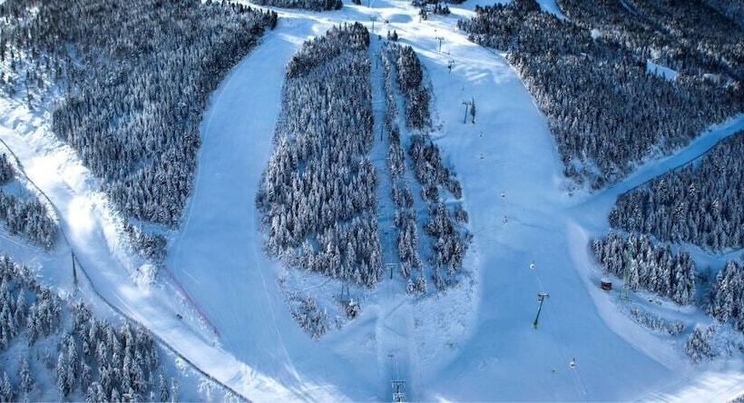 فندق YOMO Eureka