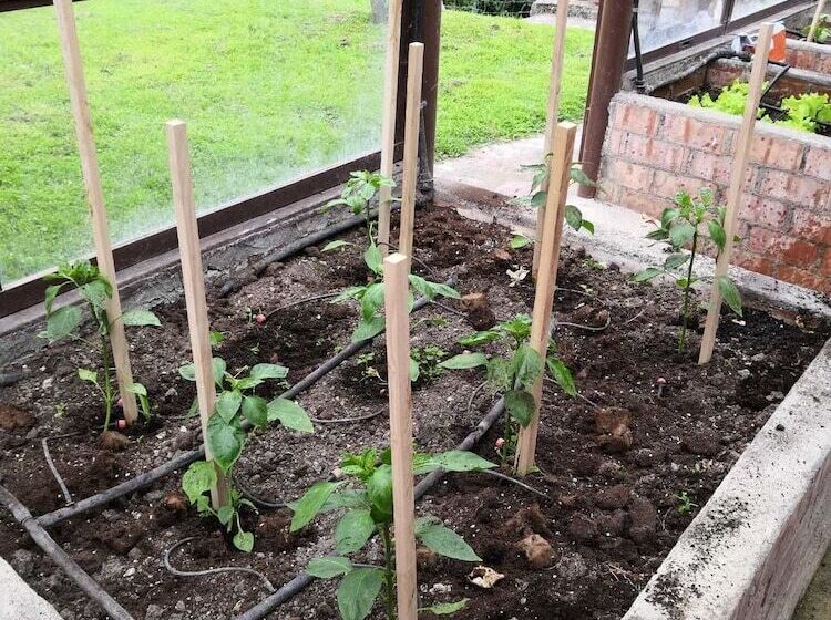 La Montaña Mágica Hotel Rural