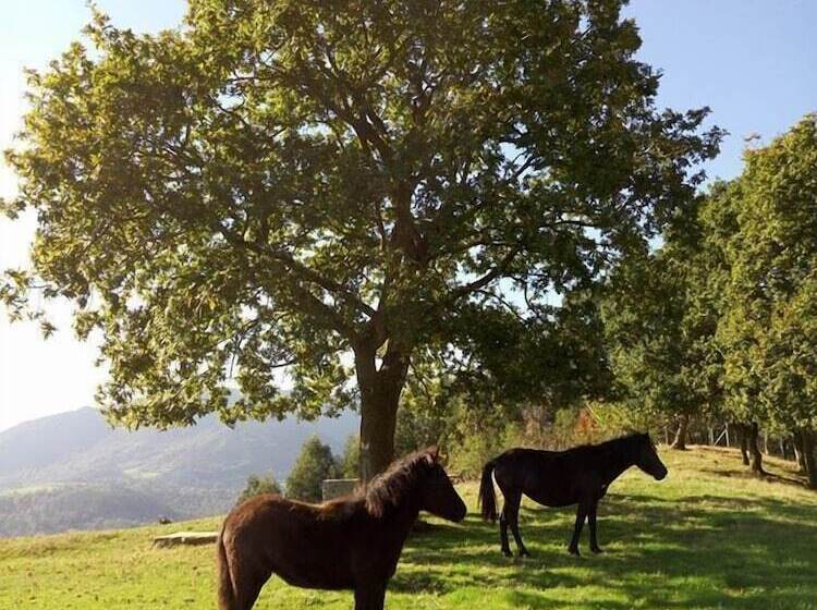 La Montaña Mágica Hotel Rural