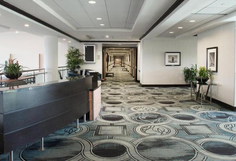 Sheraton Miami Airport Hotel And Executive Meeting Center