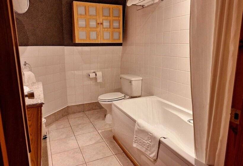 Washington Central Hotel And Sleepwell Inn