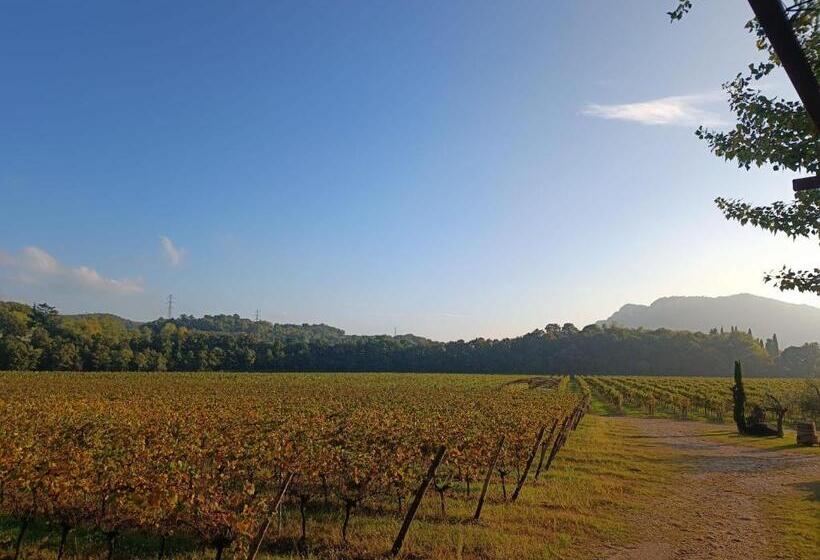 فندق Agriturismo Corte Patrizia