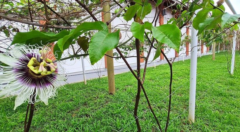 ペンション Pousada Pontal De Guaratuba