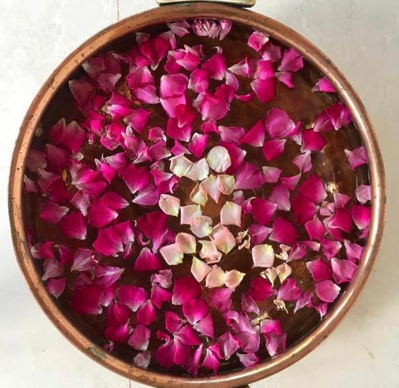 אתר נופש Akasa Goa