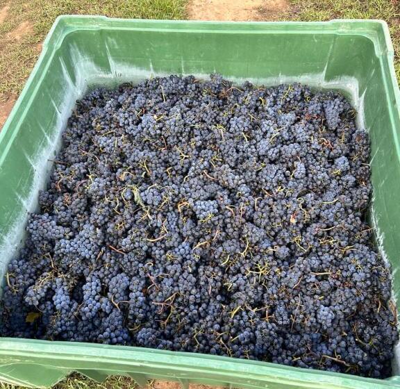 ホテル Agriturismo Re Di Fiori