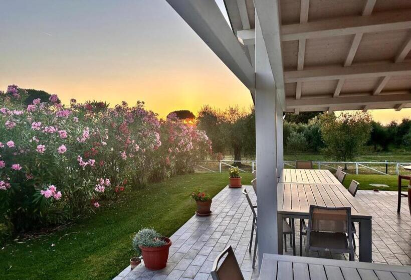 ホテル Agriturismo Re Di Fiori