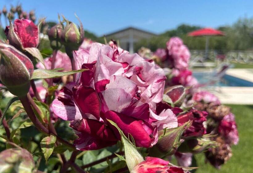 ホテル Agriturismo Re Di Fiori