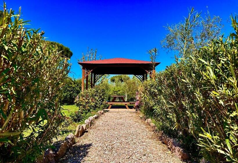 ホテル Agriturismo Re Di Fiori