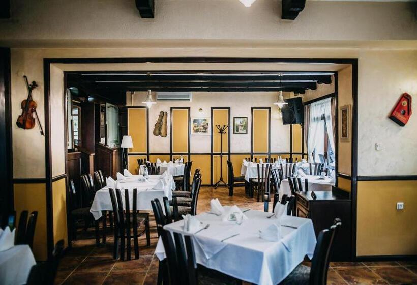 فندق Complex Chayka