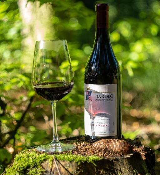 בית מלון כפרי Kouty