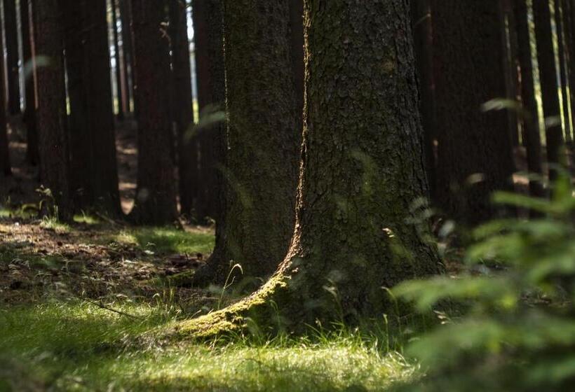 בית מלון כפרי Kouty