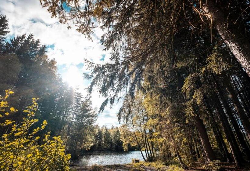 בית מלון כפרי Kouty