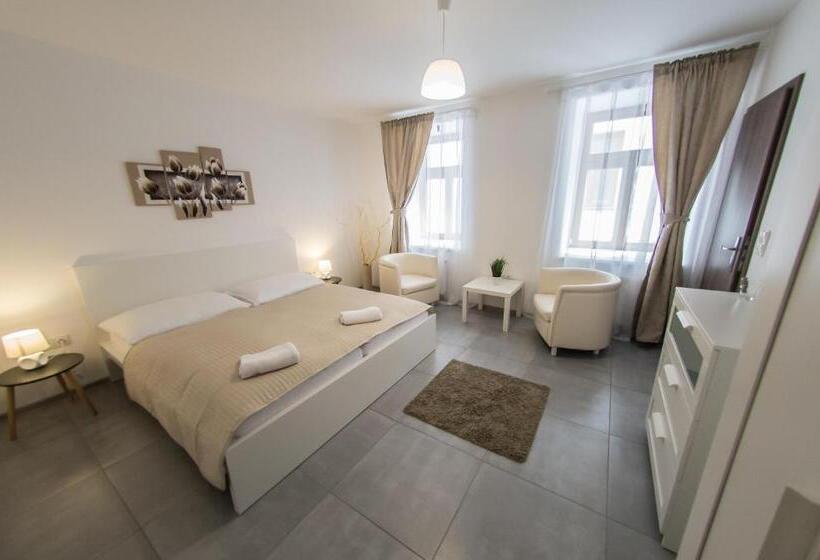 پانسیون Rezidence černý Medvěd