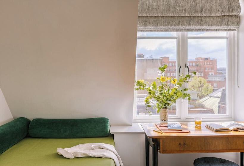 Sonder The Arts Council