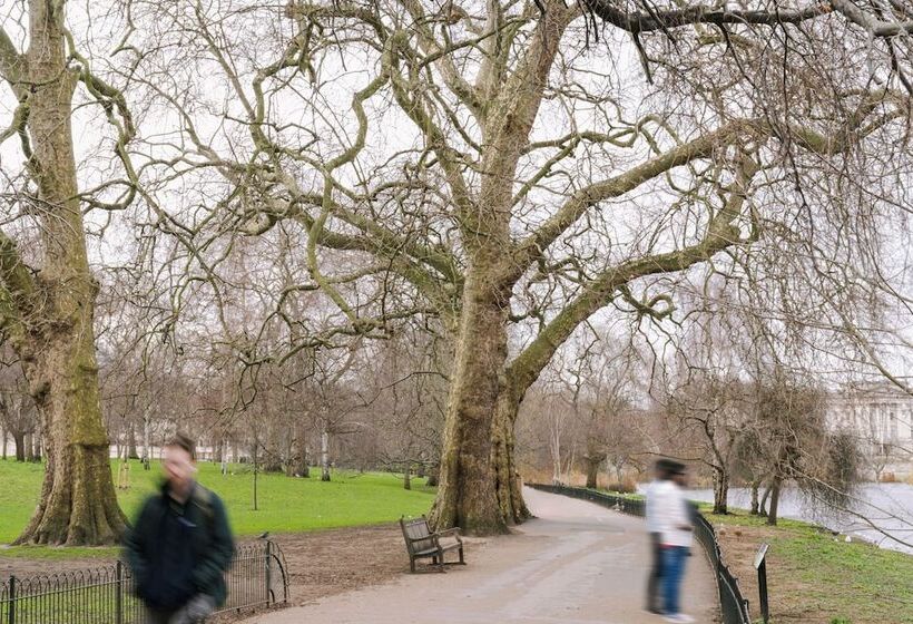 Sonder The Arts Council