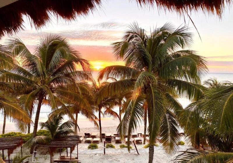 호스텔 Selina Poc Na Isla Mujeres