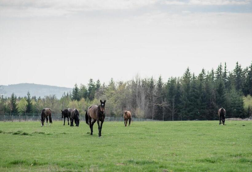 Пансион Penzion Orlov