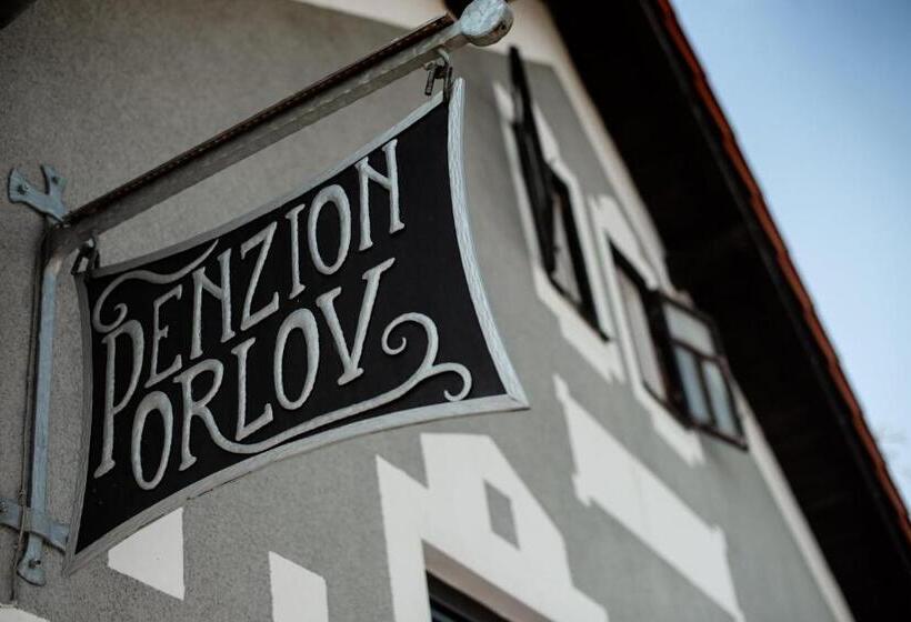 פנסיון Penzion Orlov