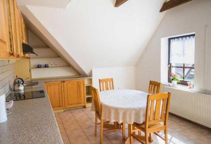 Пансион Penzion Orlov