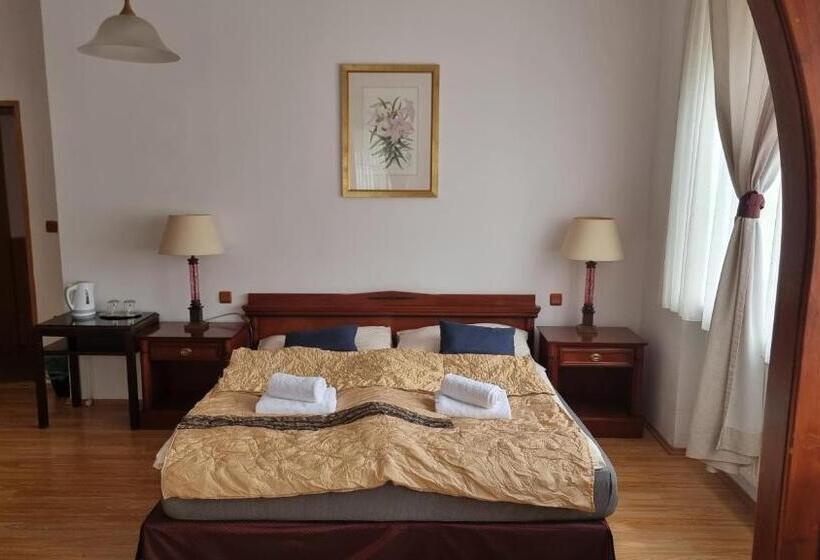 酒店 Penzion U Dobrého Lva