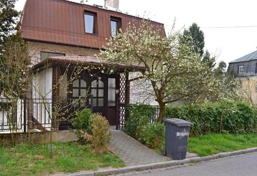 膳宿费 Penzion Beta