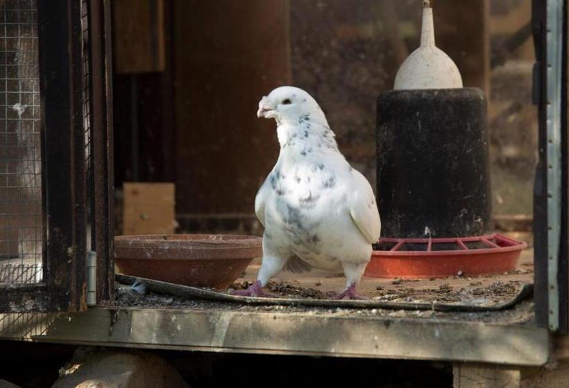 膳宿费 Penzion Beta