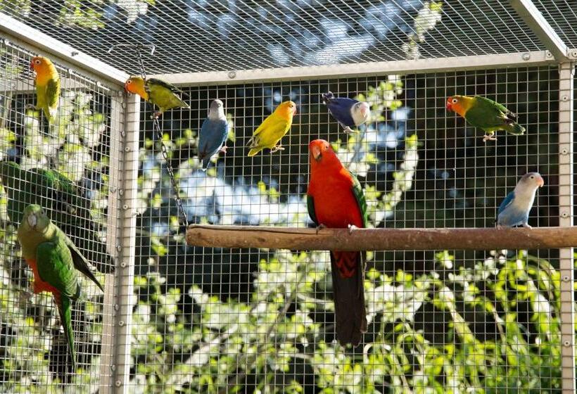 膳宿费 Penzion Beta