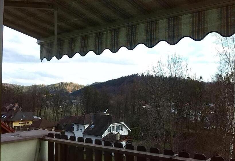 펜션 Penzion Forman