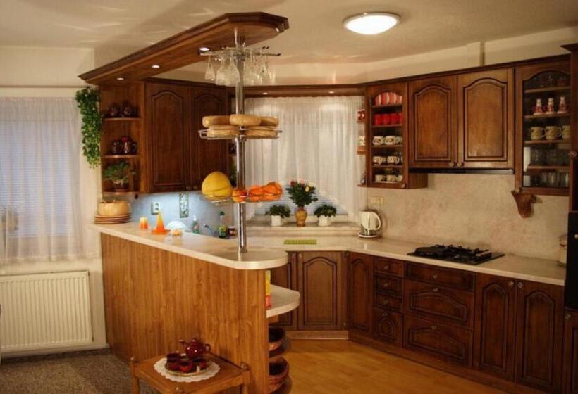 ペンション Penzion Olomouc