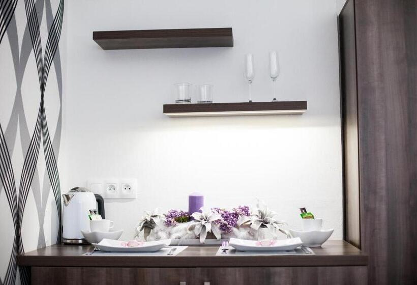 ペンション Penzion Olomouc