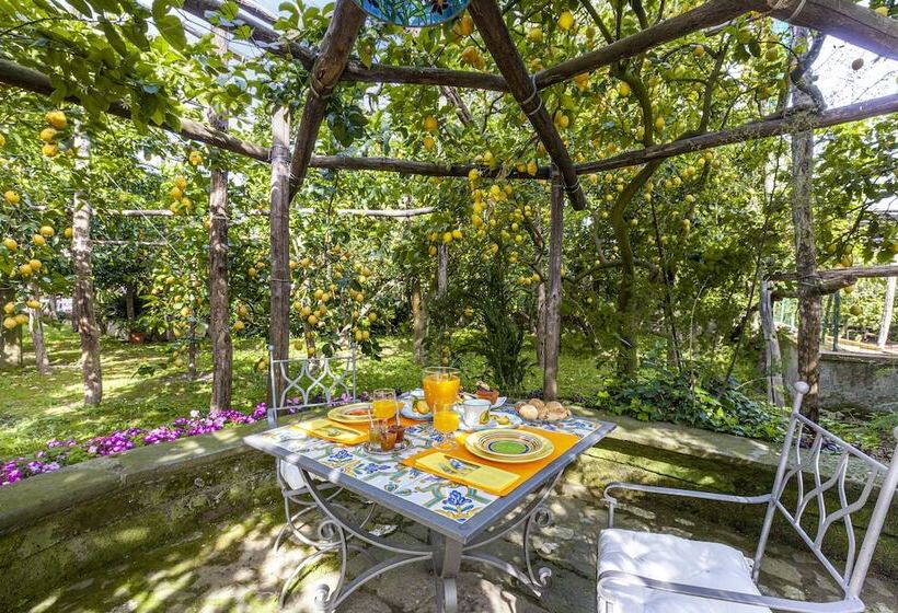 Villa Maresca B&b