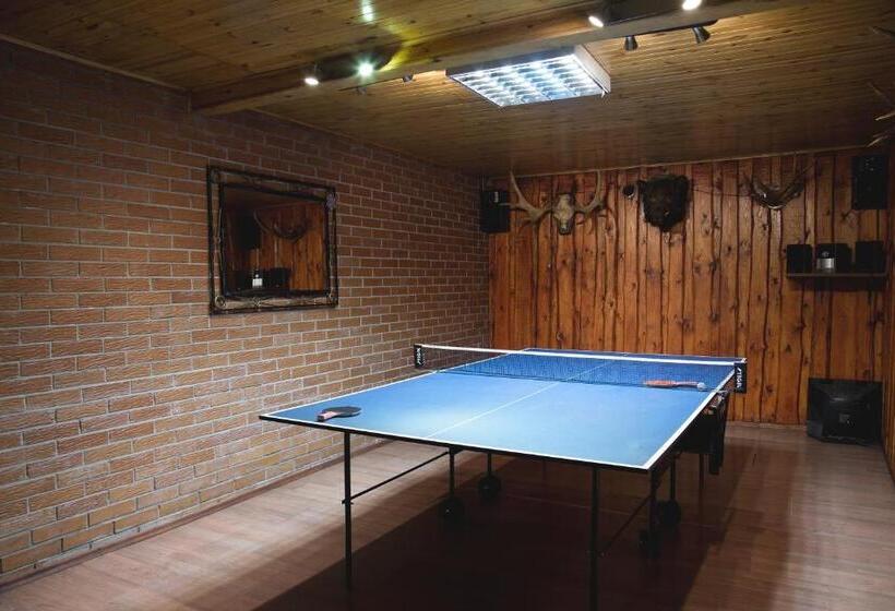 هاستل Mamos Virtuve