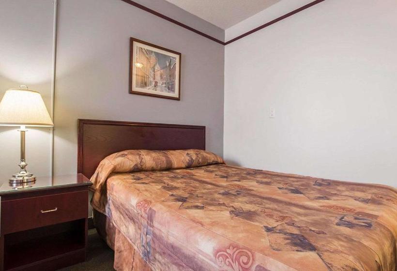 Repotel Levis