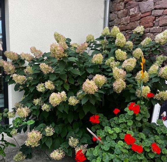 Отель Les Chambres Du Marlenberg