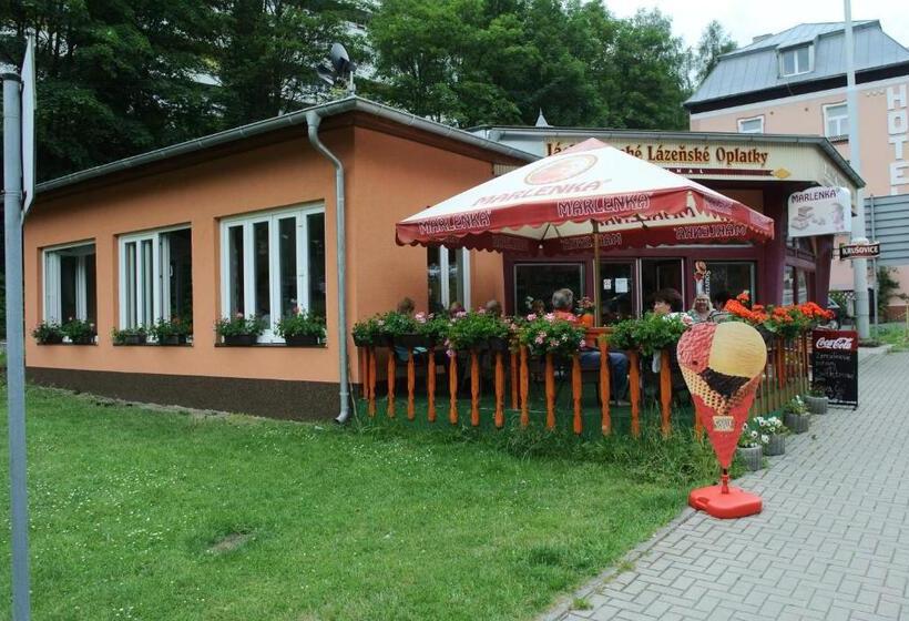 Отель Penzion Haus Regrus