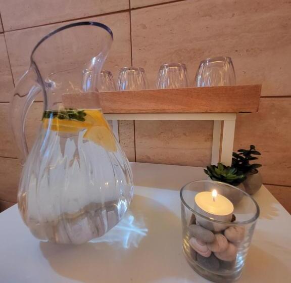 펜션 Penzion Ostravanka