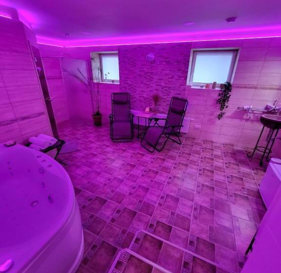 펜션 Penzion Ostravanka