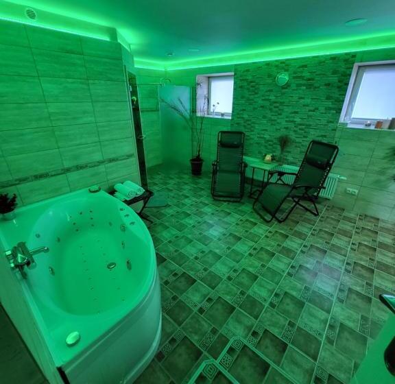 펜션 Penzion Ostravanka